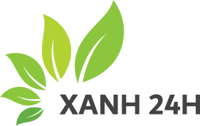 XANH 24H