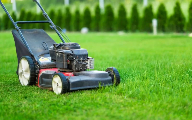 Dịch vụ cắt cỏ sân vườn, dọn vườn trọn gói, chuyên nghiệp 22/10/2025 Dịch vụ cắt cỏ sân vườn đem lại không gian xanh sạch cho khu vườn của bạn