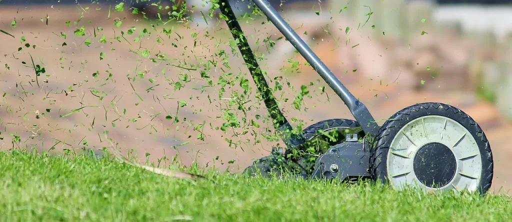 dịch vụ cắt cỏ sân vườn