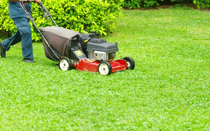 Dịch vụ cắt cỏ sân vườn, dọn vườn trọn gói, chuyên nghiệp 22/10/2025 Nhân viên đang dọn vườn, cắt cỏ sạch sẽ