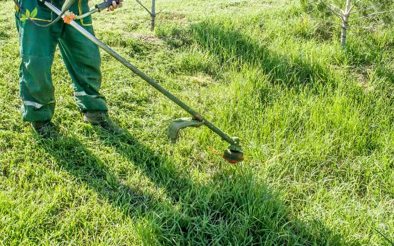 Chu kỳ cắt cỏ vào mùa khô