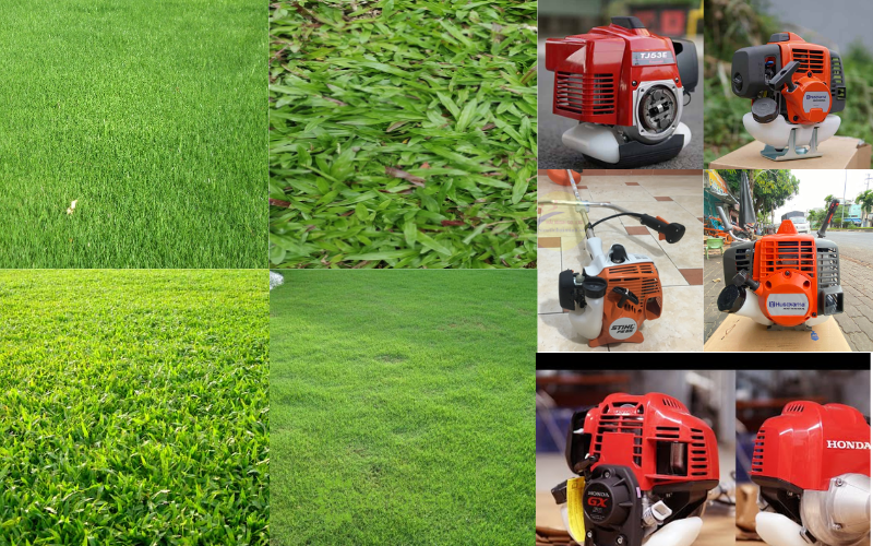 Lựa chọn máy cắt cỏ phù hợp với các loại cỏ