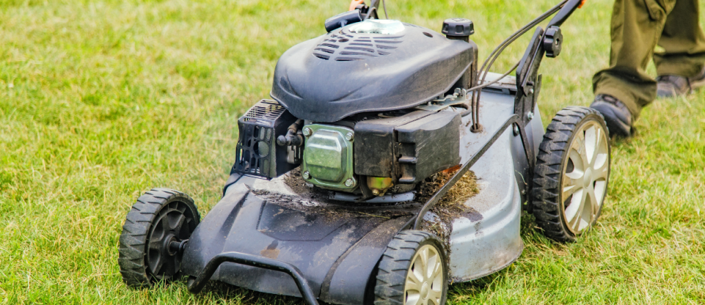 Các loại máy cắt cỏ hiệu quả và phổ biến nhất 2025 16/12/2025 XANH 24H các loại máy cắt cỏ