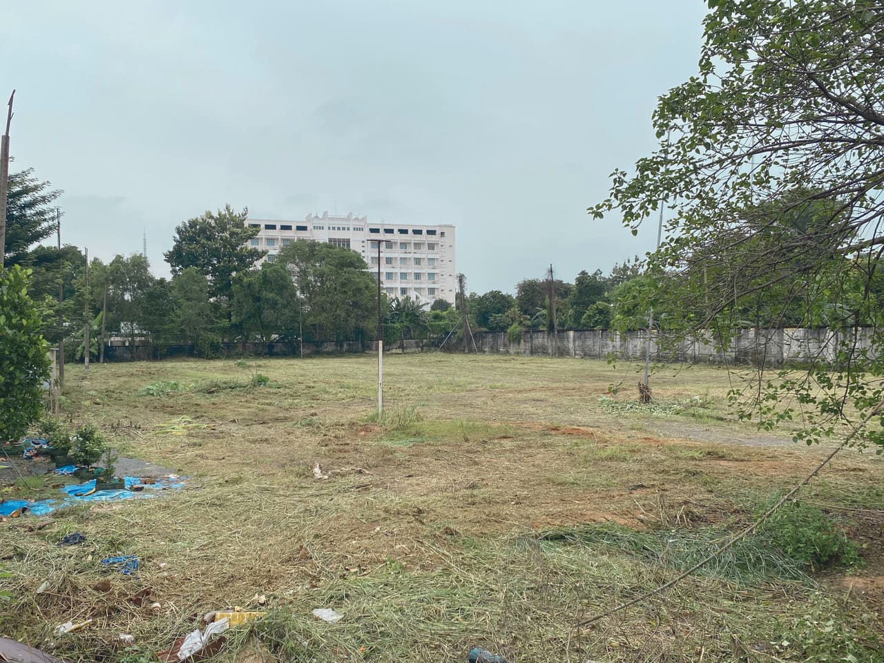 Mặt bằng sạch sẽ sau khi cắt cỏ và dọn thực bì nhằm giảm nguy cơ cháy lan trong mùa khô.