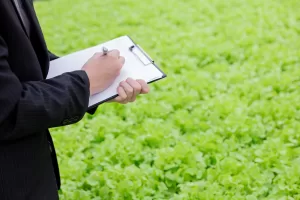 mẫu hợp đồng thi công trồng cây xanh