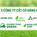 Top 5 công ty cắt cỏ hàng đầu gồm XANH 24H, Lộc Nguyên, Phương Trung Green, Athena, Ngoại Thất Xanh và Đại Phúc