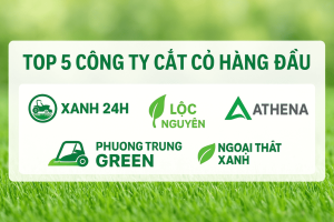 Top 5 công ty cắt cỏ hàng đầu gồm XANH 24H, Lộc Nguyên, Phương Trung Green, Athena, Ngoại Thất Xanh và Đại Phúc