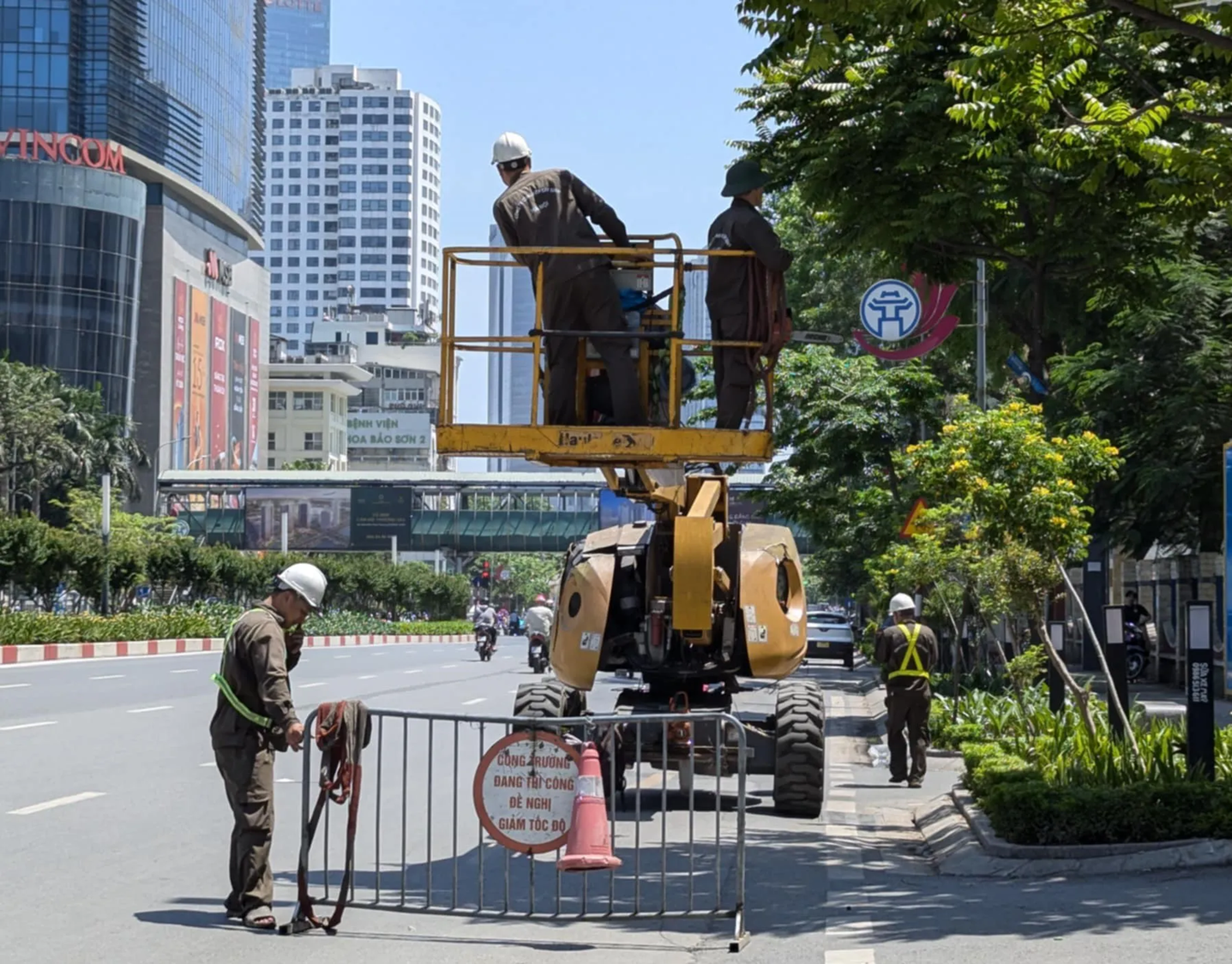 Dịch Vụ Chăm Sóc Cảnh Quan, Cắt Tỉa Cây