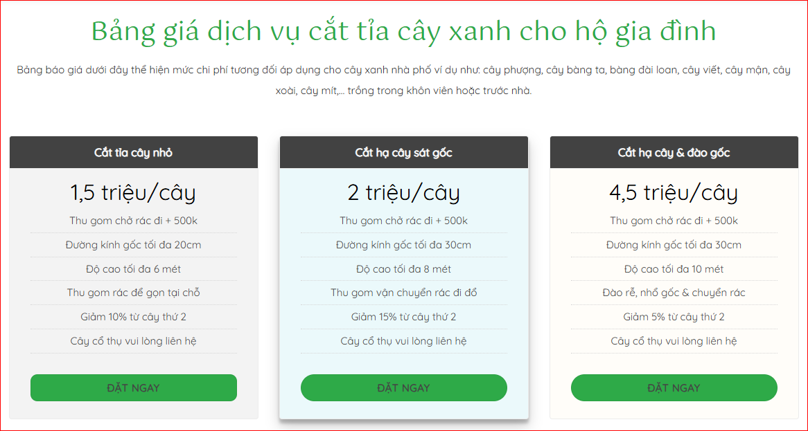 Bảng Giá Dịch Vụ Cắt Cây Tại Thành Phố Hồ Chí Minh
