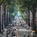 Kinh Nghiệm Dọn Cây Xanh Cảnh Quan Tại Sài Gòn