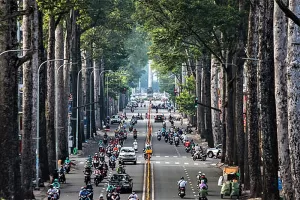 Kinh Nghiệm Dọn Cây Xanh Cảnh Quan Tại Sài Gòn