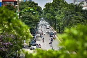 Xanh 24h Chăm Sóc Cảnh Quan Đô Thị Theo Mùa