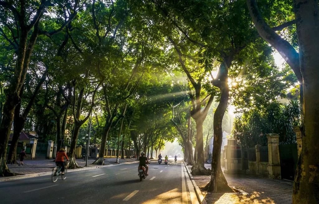 Duy Trì Cảnh Quan Xanh Cắt Tỉa Và Dọn Cây Theo Mùa 22/03/2026 Duy Trì Cảnh Quan Xanh Cắt Tỉa Và Dọn Cây Theo Mùa