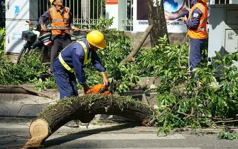 Thợ đội mũ bảo hộ cưa cành cây lớn bị gãy trên đường phố