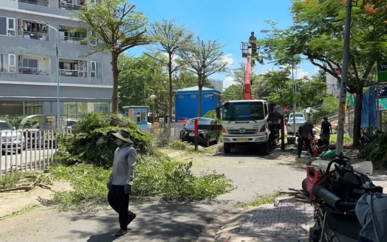 Xe tải và thợ dọn cành cây sau khi cắt tỉa tại khu dân cư